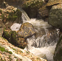 La rivire Blavet ponyme de ces gorges.